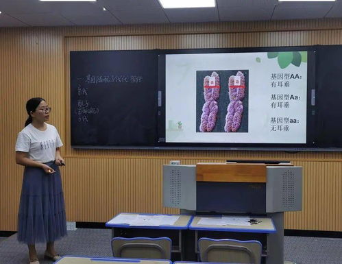 初心如磐展風采，信息化賦能新篇章——我校初中生物組信息化教學能力提升工程2.0片段教學及板書設計展示紀實